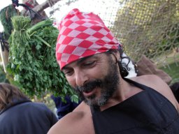 Mañana Mañana (Hummelo 2013, foto: Harold Pelgrom)