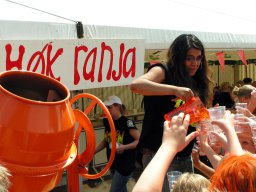Blagenrock met Normaal bij Flophouse in Toldiek (Toldijk 2006, foto: Harold Pelgrom)