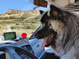 Bardenas Reales, Navarra, Spain, 2023 (foto: Harold Pelgrom)