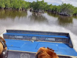 Airboat, Everglades, Florida 2024 (foto: Harold Pelgrom)