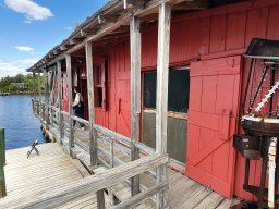 Everglades, Florida 2024 (foto: Harold Pelgrom)